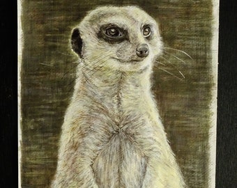 Original Meerkat Painting. Mixed Media On Paper. Wildlife Art. Watercolour, Acrylic and Pastel.