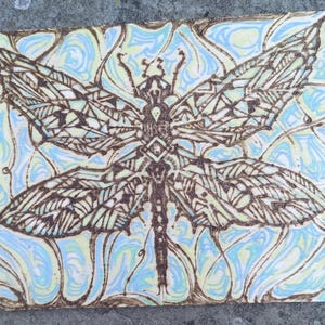 May include: A detailed drawing of a dragonfly with intricate wing patterns. The artwork features brown outlines and a light blue and yellow background. The dragonfly is centered, showcasing its symmetrical design.