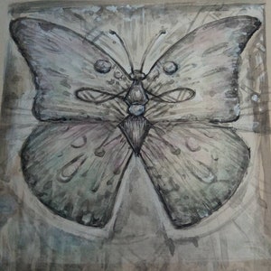 Butterfly Ink and Acrylic Painting. Original Artwork. Pencil, Ink and Acrylic On Paper. Monochromatic Colours.