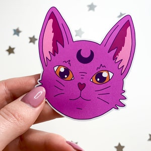 Pinke Witchy Cat Sticker, Katzen Sticker, kawaii Katzen Sticker, Katzen Sticker, gruselige Katzen Sticker