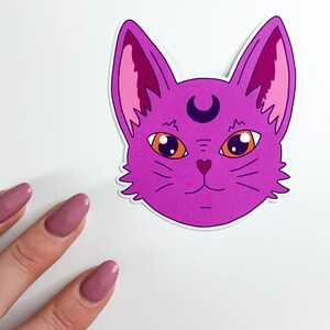 Pink Witchy Cat Sticker celestial cat witch familiar, kawaii cat planner stickers, cute witchy kitty cat laptop sticker, spooky magic image 6