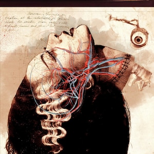 Bride of Frankenstein, Ethically Gray Anatomy poster | 11x17 Art Print