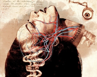 Bride of Frankenstein, Ethically Gray Anatomy poster | 11x17 Art Print