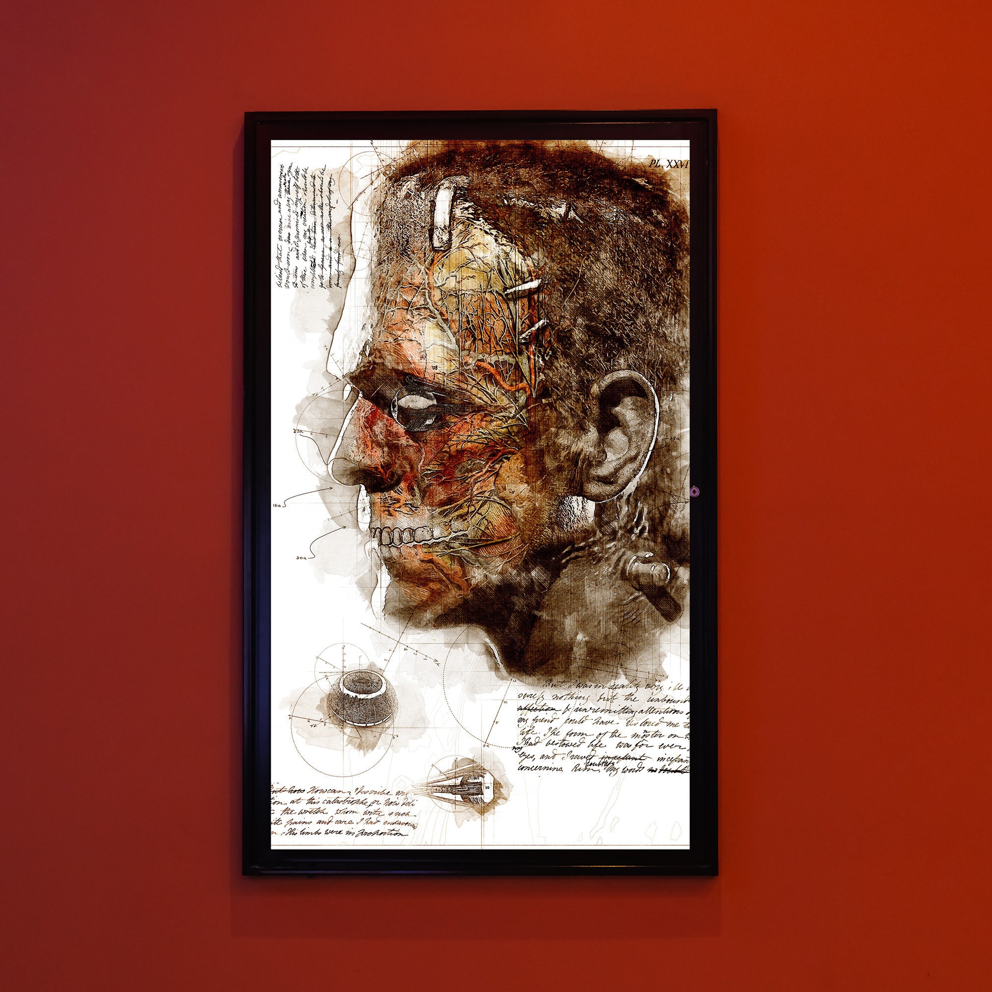 How to Make a Monster: Frankenstein Anatomy Poster | 11x17 Art Print