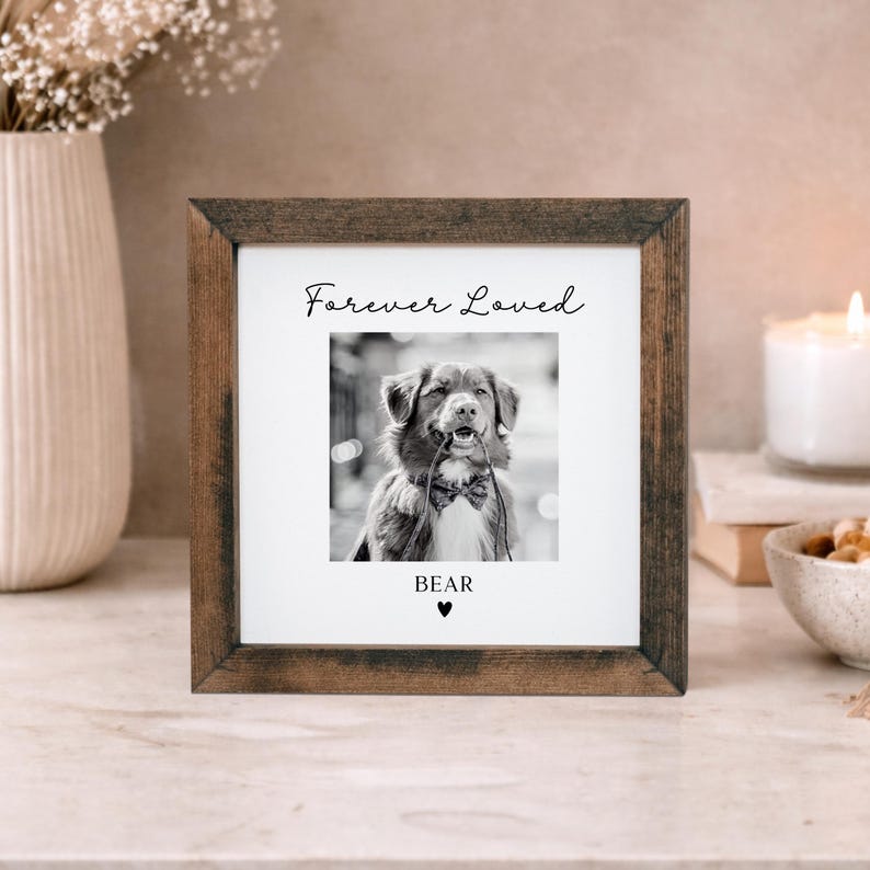 Puede incluir: Marco de fotos cuadrado de madera con una imagen en blanco y negro de un perro. La foto tiene las palabras "Forever Loved" en la parte superior y el nombre del perro, "BEAR", en la parte inferior, con un s&iacute;mbolo de coraz&oacute;n. El perro est&aacute; sosteniendo algo en su boca.