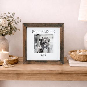 Puede incluir: Un marco de madera oscura con una fotograf&iacute;a en blanco y negro de un perro con pajarita. El texto "Forever Loved" est&aacute; encima de la foto, y el nombre "Bear" debajo, con un s&iacute;mbolo de coraz&oacute;n.