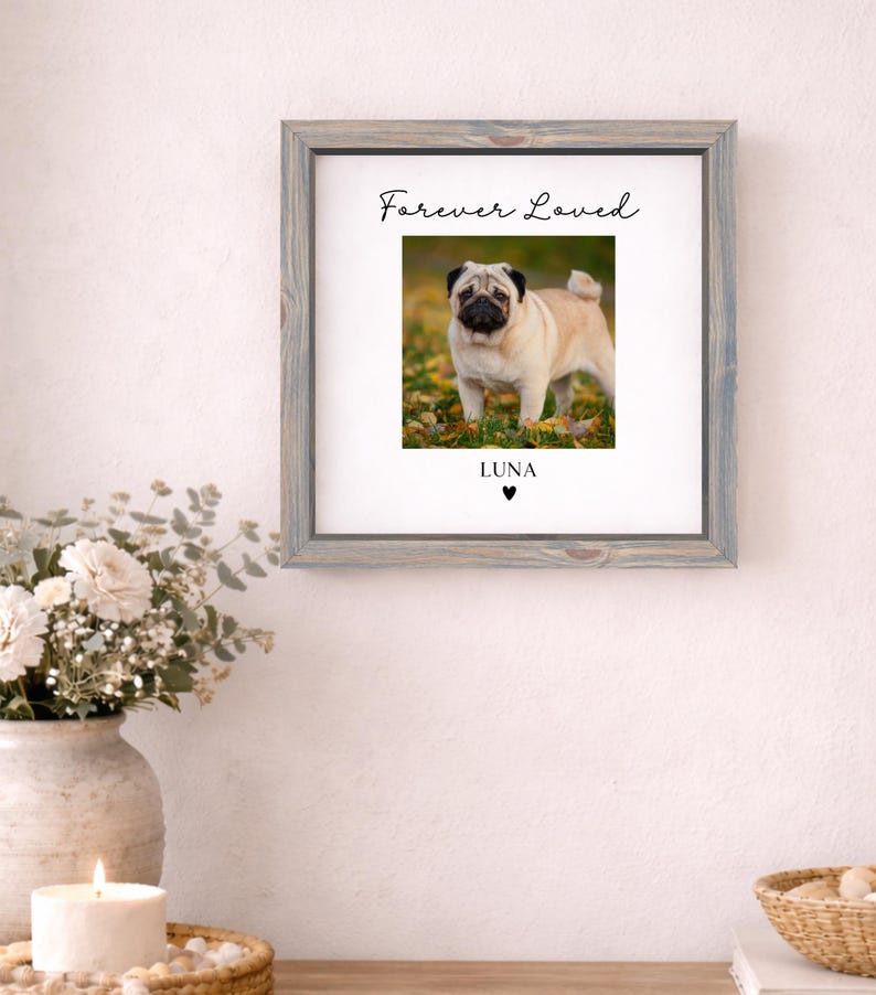 Puede incluir: Fotograf&iacute;a enmarcada de un carlino beige con hocico negro, sobre un fondo de hojas. El marco gris lleva las inscripciones "Forever Loved" y "LUNA", con un s&iacute;mbolo de coraz&oacute;n. Un objeto decorativo para el hogar.