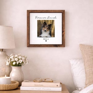 Puede incluir: Un marco de madera marr&oacute;n oscuro con una foto de un perro llamado Bella, con el texto "Forever Loved" encima de la imagen. El perro tiene pelo negro, blanco y marr&oacute;n. Un peque&ntilde;o coraz&oacute;n est&aacute; debajo del nombre del perro.