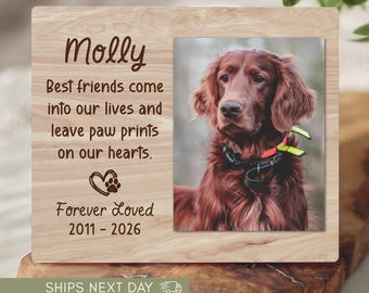 Marco de fotos personalizado para perro, regalo conmemorativo para mascotas, recuerdo de pérdida personalizado, placa de condolencias, recuerdo, duelo por un cachorro