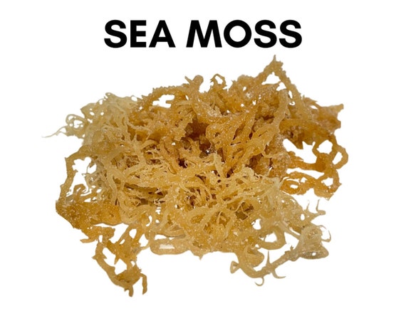 Irish Sea Moss Whole Leaf Wildcrafted Sea Moss 100% Pure Raw Natural  Organic Superfood From Ocean Bulk Herbs Wholesale 