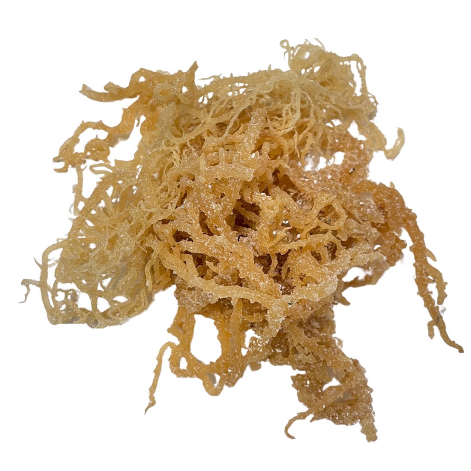 Whole Leaf Irish Sea Moss 100 Pure Raw Natural Organic Etsy