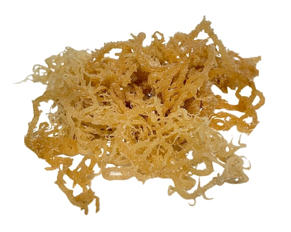 Pure Natural Sea Moss 125g (4oz) Dried Fresh Whole No Chemicals - * Dr.  Sebi *