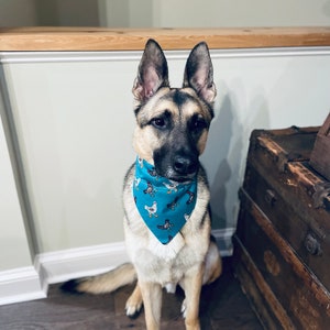 Chicken themed over the collar dog Bandana