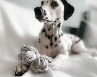 Jouet pour chien - jouet à rapporter - papillon en coton épais - pas un jouet à mâcher