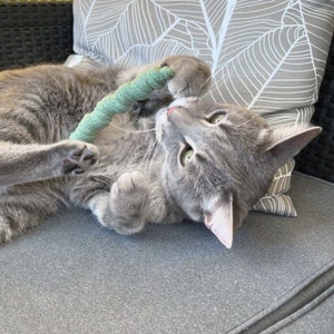 Worms - Cotton cat toy