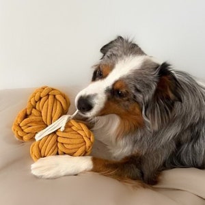 Dog toy - Fetch toy - Butterfly made of thick filled cotton - Not a chew toy