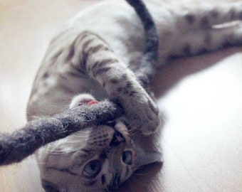 Cat toys set of 5 or 10 | Felt snake | Felt cord | Felt cords | Felt ribbon | Felt worm