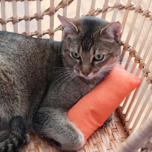 XXL stink pillow | valerian pillow | cat toy | catnip pillow | mint pillow