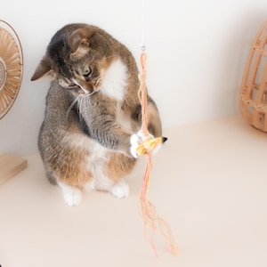 Jouet pour chat - Pendentif pêcheur pour chat fleur sans canne à pêche