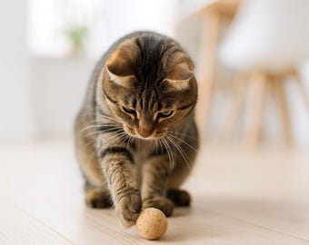 Juguete de bola de corcho para gatos