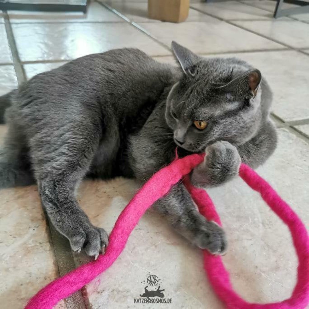 Felt Cords Felt Snakes Cat Toys Individually Etsy