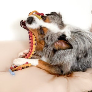 Dog toy | Tug toy rainbow colors | Fetch toy