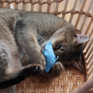Small rustling organic catnip cushions cat toy scented cushions