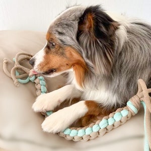 Zergel - Dog Toy - Tug Toy with Hand Strap