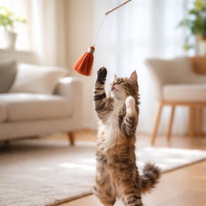 Könnte beinhalten: Eine verspielte getigerte Katze steht auf ihren Hinterbeinen und greift nach einem Katzenspielzeug mit einer orangefarbenen Quaste. Die Katze hat braunes und weißes Fell und befindet sich in einem hellen Raum.