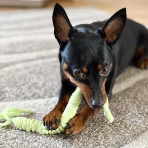 Set of 3 dog toys made of 90-95% cotton available in many colors and sizes