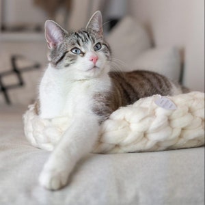 Cat basket | Cat basket | Vegan cat bed
