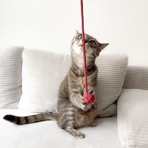Könnte beinhalten: Eine Tabby-Katze spielt mit einem roten Spielzeug aus Schnur auf einem weißen Sofa. Die Katze sitzt aufrecht und schaut auf das Spielzeug.