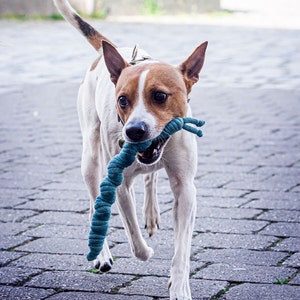 Dog toy &quot;Slug Finchen&quot; - retrieving toy