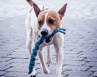 Jouet pour chien "Nudibranch Finchen" - jouet à rapporter