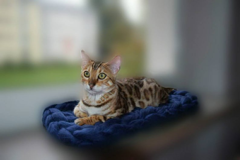 Cat bed for window sills in many colors /& sizes