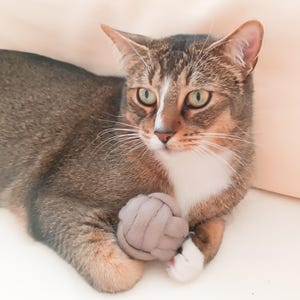 Cat Toys - Valerian Balls | Catnip Balls