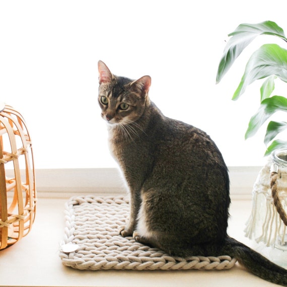 Kit de culture d'herbe pour chat pour femmes - Maroc