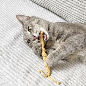 Lesma de brinquedo para gato Finchen - brinquedo para gato sustentável, grosso e fino | Almofada de valeriana | erva-de-gato