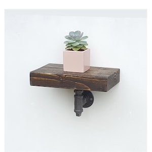 Peut inclure: Une étagère en bois brun foncé avec un support en tuyau métallique noir. Un petit pot rose avec une plante succulente est posé sur l'étagère.