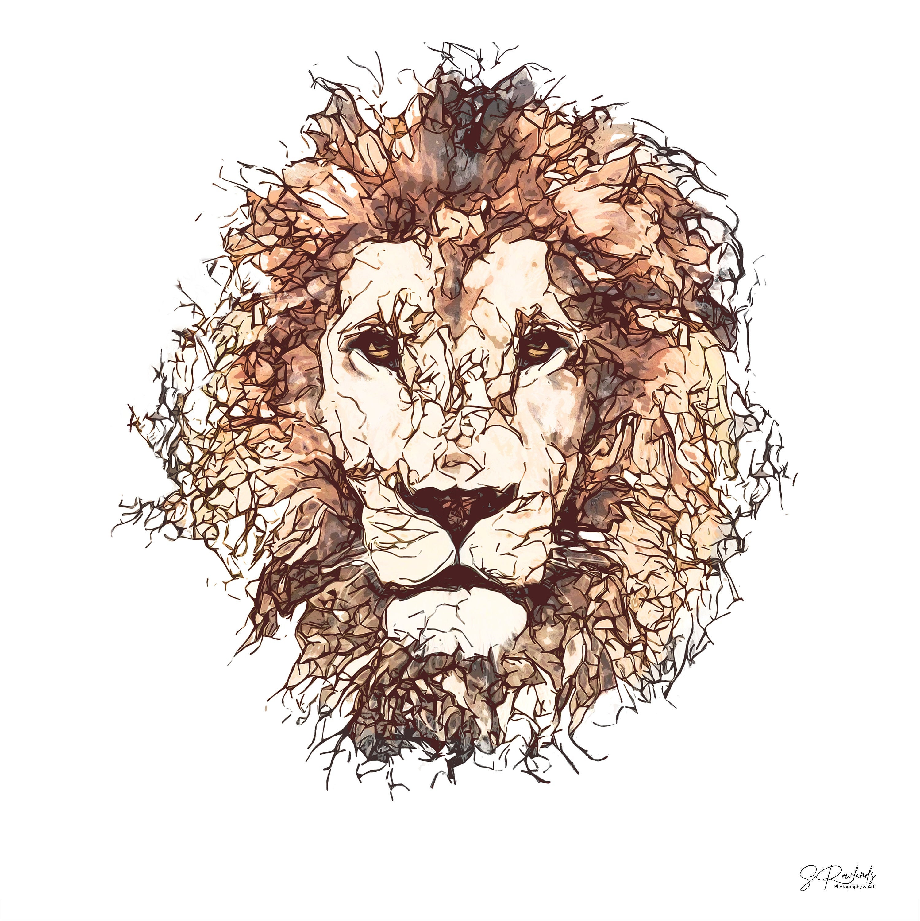 African Lion, Lion Wall Art Lion Canvas Print, Lion Print, Lion Art