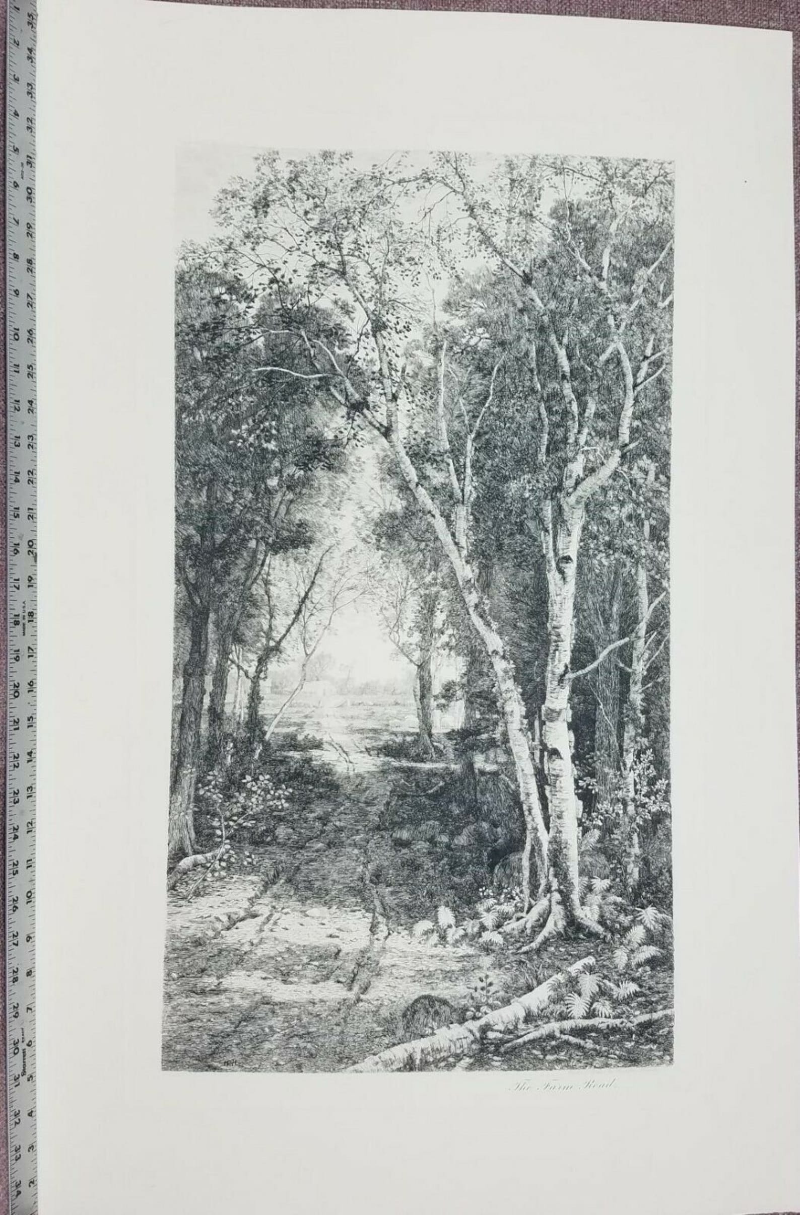 Hamilton Hamilton 1885 Original Etching the FARM Etsy