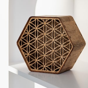 Zeshoekig spaarvarken, spaarpot, houten kist voor bankbiljetten, verjaardagscadeaudoos, gepersonaliseerd cadeau, peutercadeau