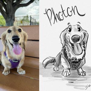 BLACK AND WHITE Custom Pet Portrait – Hand-Drawn Digital Sketch (B&W) 1 Pet