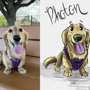 1 PET COLORED CUSTOM Pet Portrait – Hand-Drawn Pet Sketch from Photo | Digital Download | Personalized Pet Art