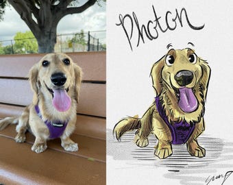 Custom Hand Drawn Pet Portrait From Photo | Full Color Digital Illustration, Dog Cat Gift NOT AI GENERATED 100% Drawn in Procreate