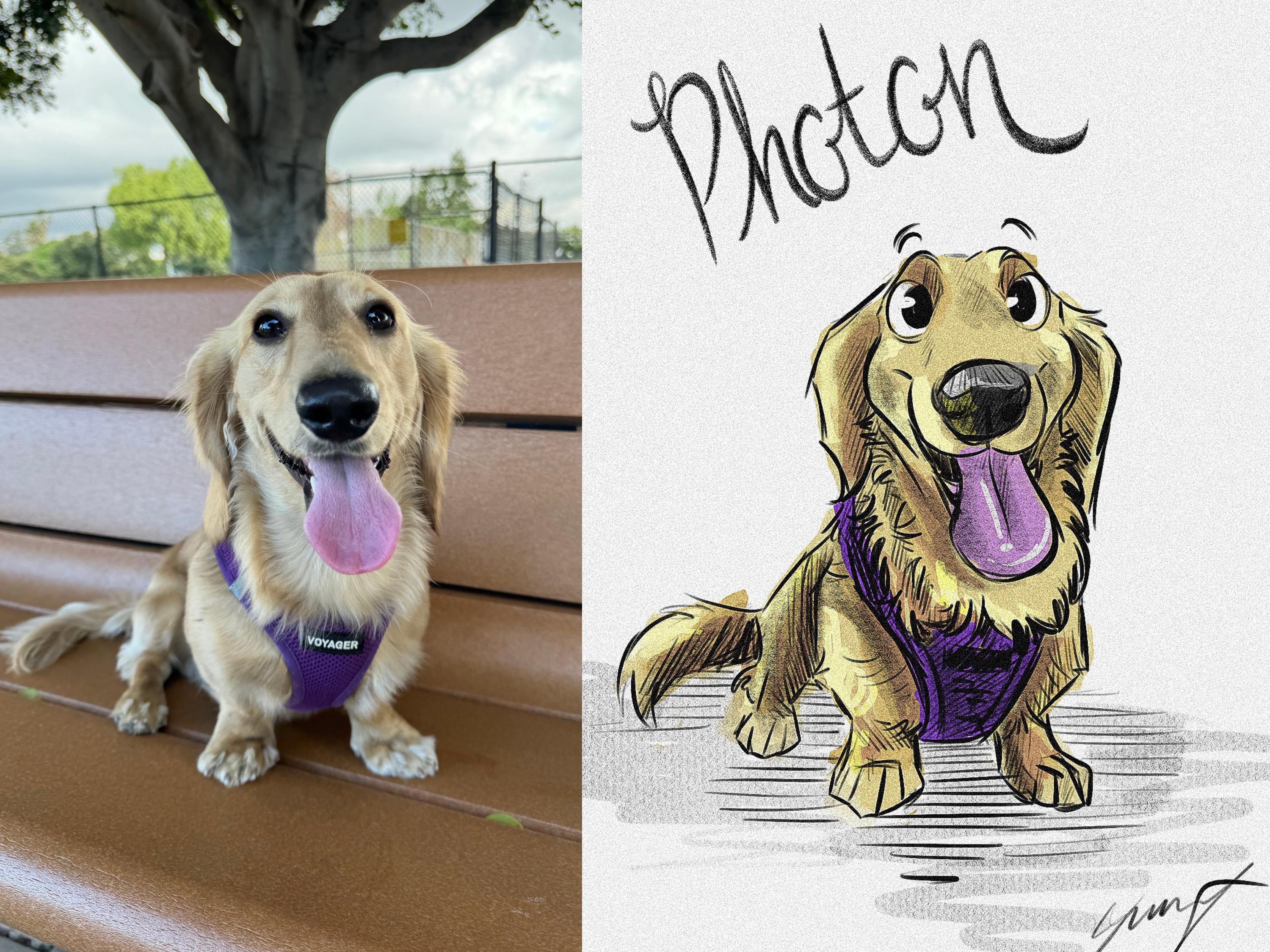 Custom Hand Drawn Pet Portrait From Photo, Full Color Digital ...