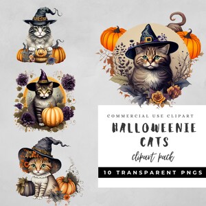 Cliparts chat Halloween - thème effrayant, PNG transparents, usage commercial, fichiers numériques, citrouilles, mignon, thème floral, style campagnard