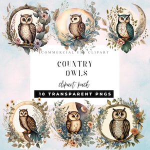 Pack de cliparts hibou campagnard - 10 PNGS transparents, style cottagecore, éphémères de journaux indésirables, fleurs vintage, faire-part de mariage art, jolie