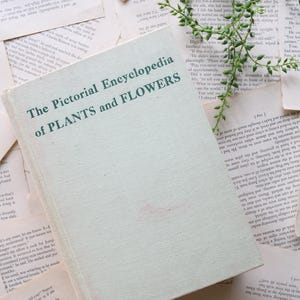 Vintage Book - The Pictorial Encyclopedia of Plants and Flowers