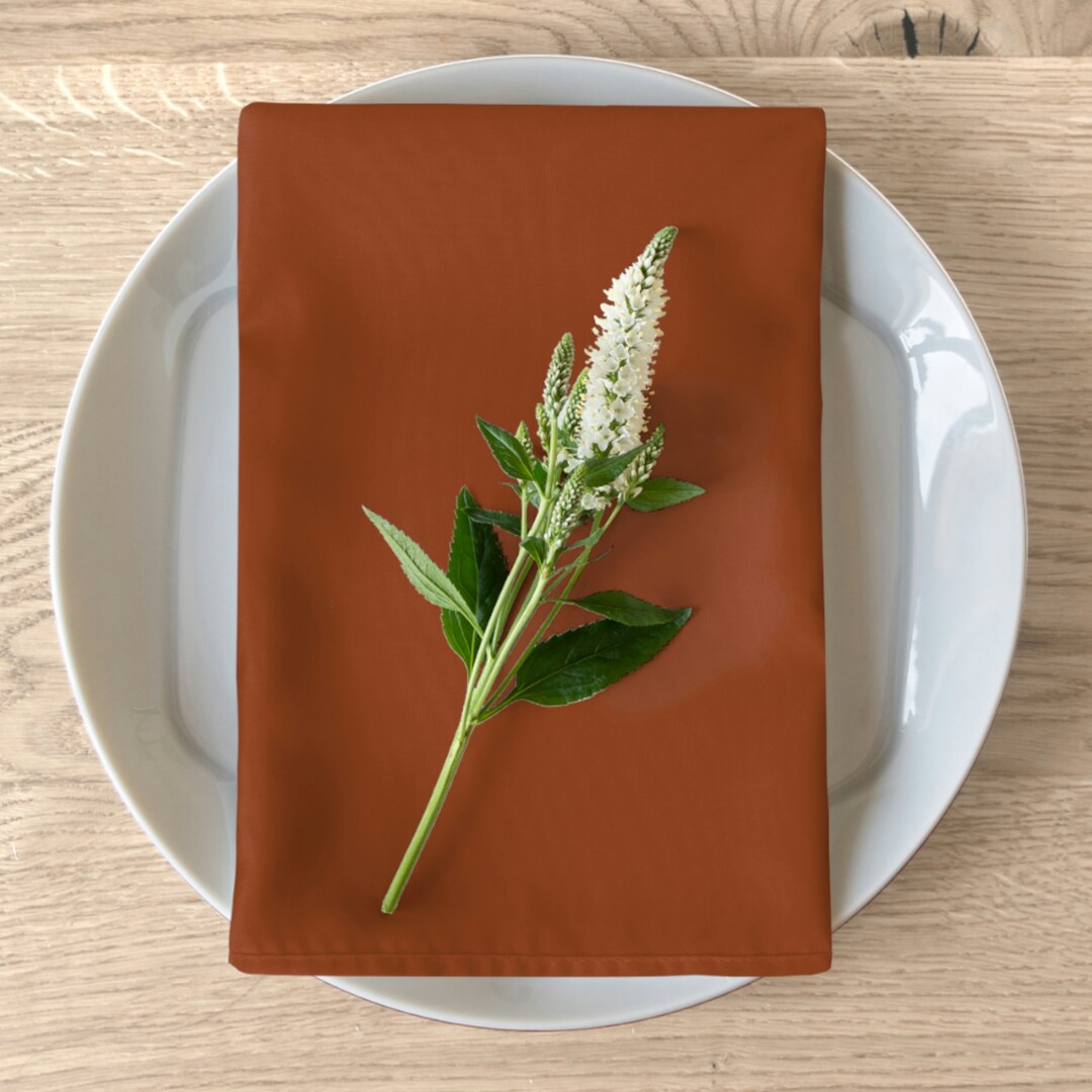 Terra Cotta Colored Cloth Napkins Etsy